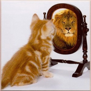 looking-in-the-mirror-lion.jpg